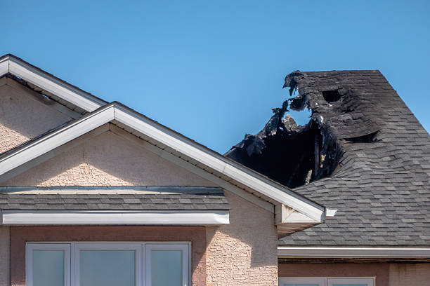 Top rated local Fire Damage Repair specialists in Point Pleasant, NJ